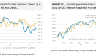 USD Looking South; The Pain Trade Has Started – Morgan Stanley