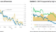 USD To Fall Another 3-4% From Current Levels – Morgan Stanley