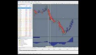 Fordex Trading Have Income While Learning to Trade 2 of 7