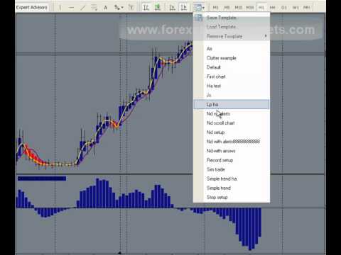 Forex Live Trading, Forex Traders in Action