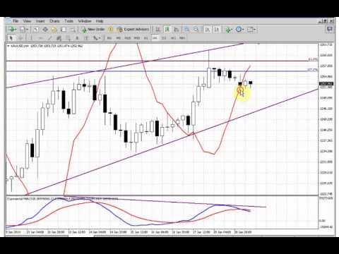 ForexPeaceArmy | Sive Morten Gold Daily 01.21.14