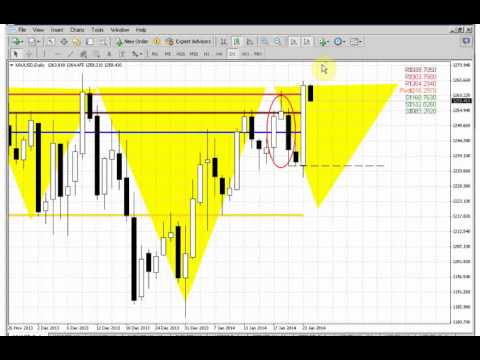 ForexPeaceArmy | Sive Morten Gold Daily 01.24.14