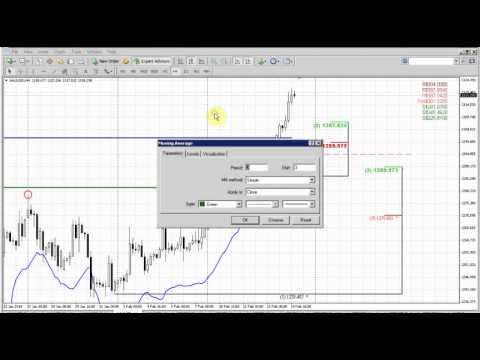 Forex Peace Army|Sive Morten Gold Daily 02.17.14