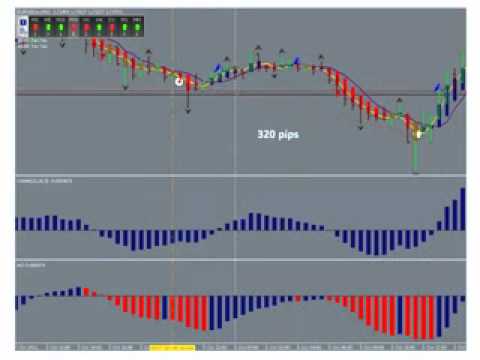 Forex Trading 1274 pips in 4 days and I am not alone!