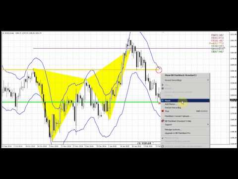 Forex Peace Army | Sive Morten Gold Daily 02.23.15